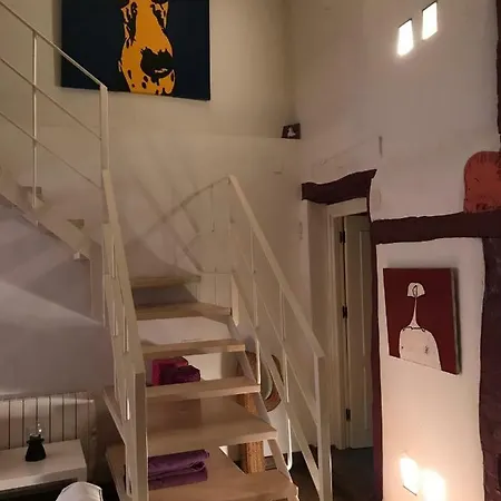 Loft La Casa De Pajaritas Apartamento Pasarón