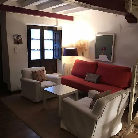Loft La Casa De Pajaritas Apartment *